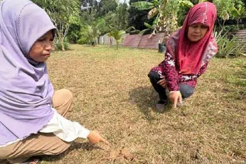 Penduduk di Jalan Buloh Kasap, Batu 2, Segamat, di Johor, menunjukkan kemunculan rekahan tanah di kawasan kebun di bahagian belakang rumah yang dipercayai berpunca daripada gegaran gempa bumi yang melanda Johor sejak 24 Ogos lalu dan menimbulkan kebimbangan keselamatan.
