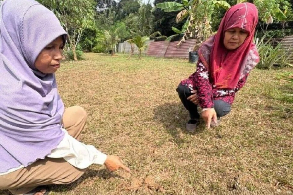 Penduduk di Jalan Buloh Kasap, Batu 2, Segamat, di Johor, menunjukkan kemunculan rekahan tanah di kawasan kebun di bahagian belakang rumah yang dipercayai berpunca daripada gegaran gempa bumi yang melanda Johor sejak 24 Ogos lalu dan menimbulkan kebimbangan keselamatan.