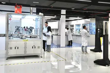 AI, pemerintah, majlis