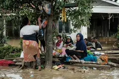 Tahun, Baru, Sambutan, dibatalkan