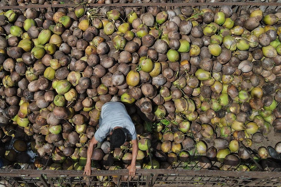 Indonesia berkemungkinan menggunakan minyak kelapa dan bahan asas kelapa untuk mencipta bahan bakar bagi kegunaan penerbangan.