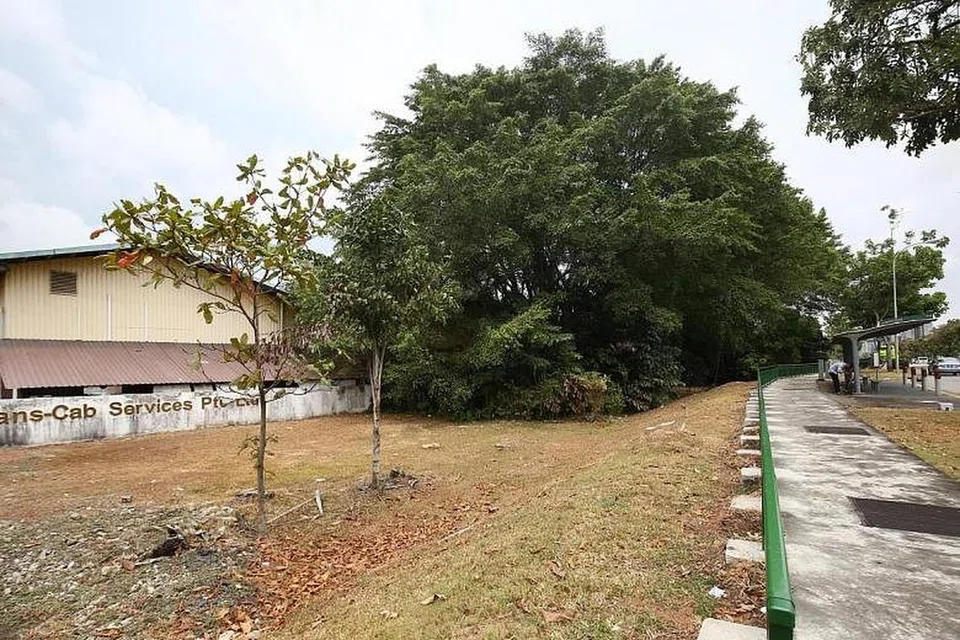 DIBUNUH OLEH SUAMI: Mayat pembantu rumah dari Filipina ditemui di kawasan perhutanan berdekatan dengan perhentian bas sebelum Defu Lane 2 pada September tahun lalu. -Foto: LIANHE WANBAO