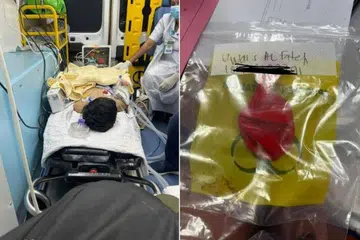Malaysia, belon, saluran pernafasan