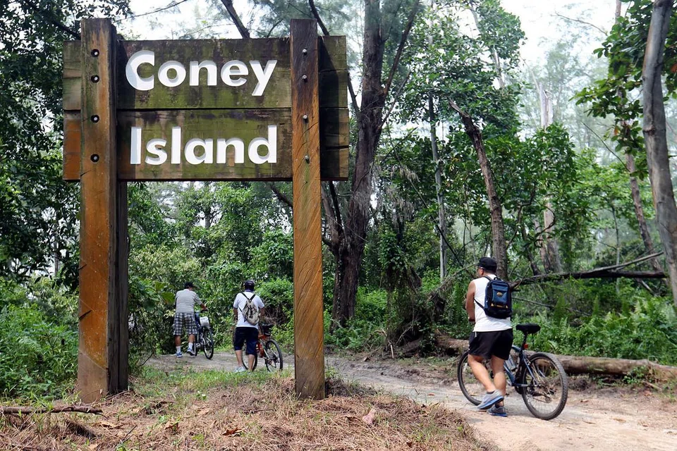 PERLUAS PENDIDIKAN PENGEMBARAAN LUAR: Kampus OBS baru di Pulau Coney yang akan menelan belanja $250 juta dijangka siap menjelang 2020. - Foto fail