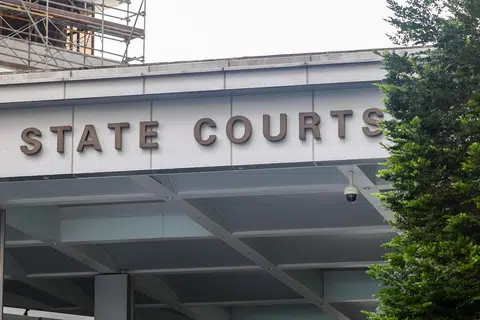 Woo May Hoe, yang mengaku dirinya ‘dewi’ yang mempunyai sekitar 30 pengikut, mengaku bersalah pada Mei atas tiga pertuduhan menyerang dan dua pertuduhan menipu.