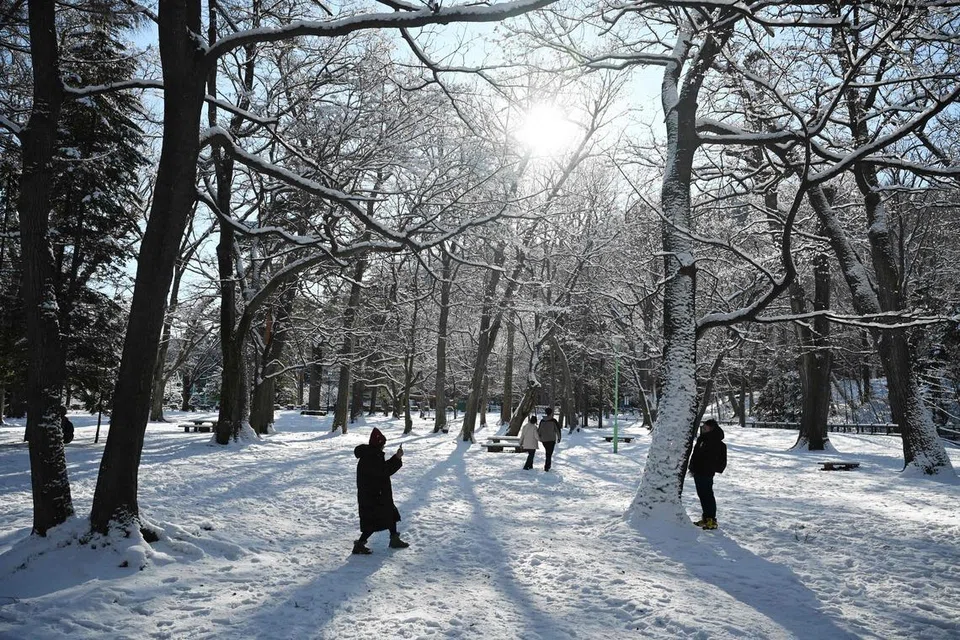 Pengunjung bergambar di Hokkaido Shrine di Sapporo, di wilayah Hokkaido di utara Jepun pada Disember 2025.