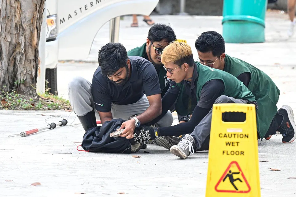 Pekerja kontraktor NParks kelihatan cuba memasukkan ular sawa yang baru ditangkap di Lorong 1 Toa Payoh, ke dalam kampit hitam.