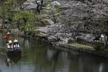 jepun, Air Nippon Airways, SIA