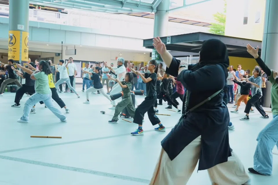 Seramai 50 anggota kumpulan silat, Seligi Tunggal Singapura, mengambil bahagian dalam persembahan silat itu. Kebanyakan mereka merupakan kanak-kanak dan belia.