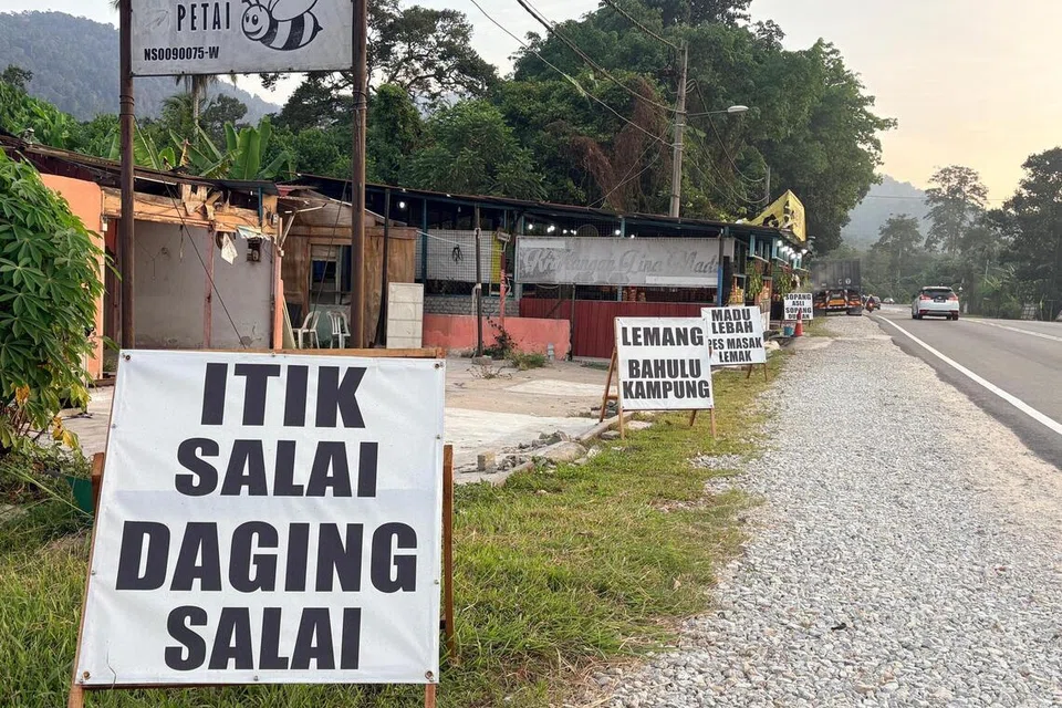 kempen Pilihan Raya Negeri (PRN) Negeri Sembilan ke-16, peniaga durian runtuh