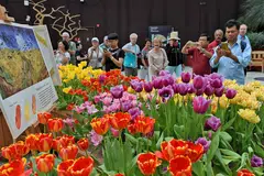 PELBAGAI JENIS BUNGA: Peserta berpeluang memasuki Flower Dome, yang kini mempamerkan bunga tulip jika ikuti lawatan berpandu. - Foto AFP
