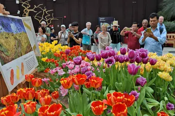 PELBAGAI JENIS BUNGA: Peserta berpeluang memasuki Flower Dome, yang kini mempamerkan bunga tulip jika ikuti lawatan berpandu. - Foto AFP