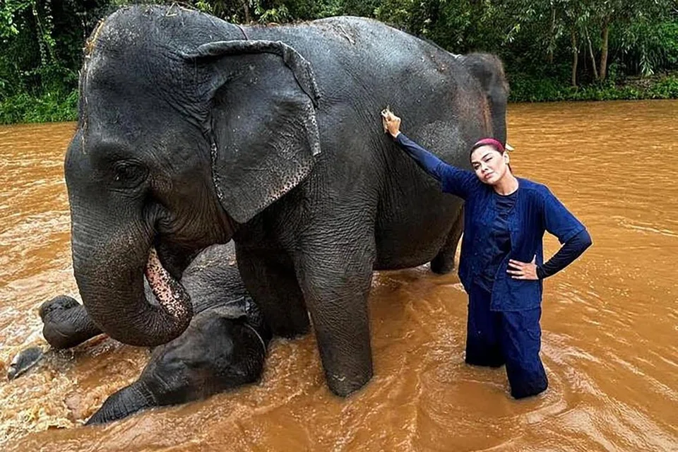 BILA GAJAH MENEMANI: Huda Ali bersama gajah yang berkubang di Thailand.