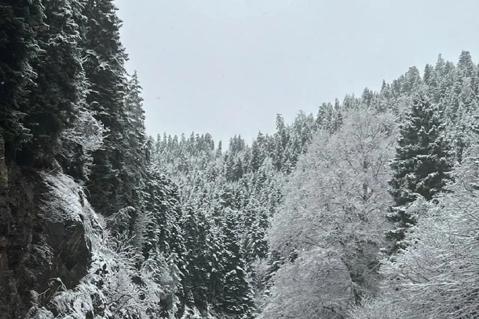 Alam sekitar menghijau bertukar menjadi putih dek salji yang deras membasahi Georgia pada musim sejuk dalam perjalanan menuju ke Resort Ski Bakuriani.