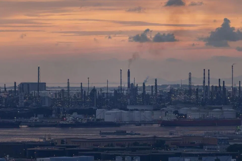 Singapore GasCo ditubuhkan bagi memastikan bekalan gas asli stabil dan selamat pada harga yang kompetitif.