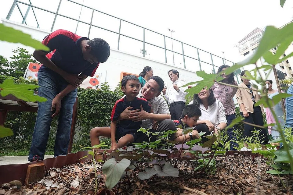 KEBUN PERSAHABATAN DIBUKA: Zhafran Haziq Shahid (dua dari kiri) duduk di atas pangkuan Encik Amrin Amin di acara pembukaan rasmi Kebun Persahabatan @ Woodlands, di mana Zhafran dan pelajar WGS dapat berinteraksi bersama penduduk Woodlands sambil melakukan kegiatan berkebun. - Foto BH oleh TIMOTHY DAVID