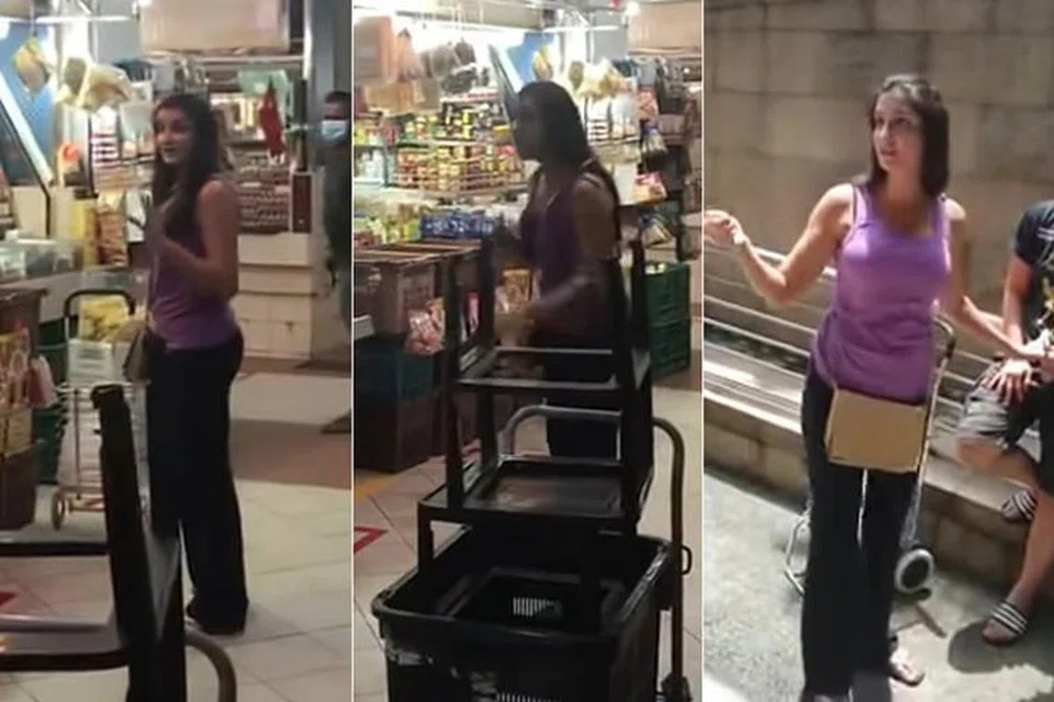 DIDAKWA PELBAGAI TUDUHAN: Peguam Satwant Singh memberitahu mahkamah bahawa beliau ingin menasihati kliennya, Paramjeet Kaur (di gambar) mengenai peraturan Akta Covid-19 (Langkah Sementara) 2020. - FOTO: DIAMBIL DARI YOUTUBE 