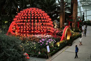 PAMERAN SEMPENA TAHUN BARU CINA: Pameran bunga Dahlia Dreams di Gardens by the Bay berlangsung hingga 20 Februari. - Foto BH oleh DESMOND WEE