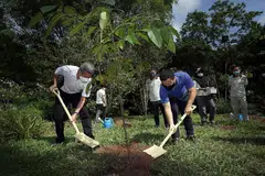 TAMAN HIJAU: Menteri Ehwal Luar, Encik Vivian Balakrishnan (kiri) dan Menteri Pembangunan Negara, Encik Desmond Lee sewaktu acara menanam pokok semalam di Taman Alam Dairy Farm. Encik Lee mengumumkan dua taman semula jadi baru akan menambah kehijauan di Bukit Batok. - Foto BH oleh ALPHONSUS CHERN