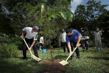 TAMAN HIJAU: Menteri Ehwal Luar, Encik Vivian Balakrishnan (kiri) dan Menteri Pembangunan Negara, Encik Desmond Lee sewaktu acara menanam pokok semalam di Taman Alam Dairy Farm. Encik Lee mengumumkan dua taman semula jadi baru akan menambah kehijauan di Bukit Batok. - Foto BH oleh ALPHONSUS CHERN
