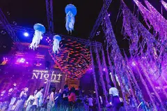 MENYINARI SUASANA MALAM: Kawasan Bras Basah dan Bugis dihiasi 14 pameran lampu bagi Pesta Malam Singapura (SNF) 2018. - Foto SINGAPORE NIGHT FESTIVAL 2018