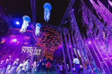 MENYINARI SUASANA MALAM: Kawasan Bras Basah dan Bugis dihiasi 14 pameran lampu bagi Pesta Malam Singapura (SNF) 2018. - Foto SINGAPORE NIGHT FESTIVAL 2018