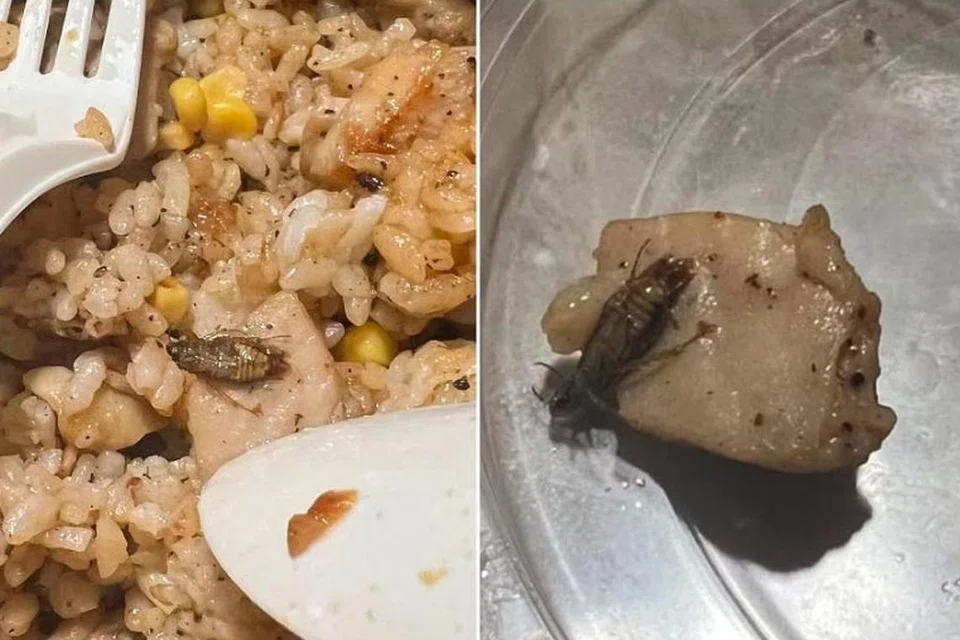 MUAL DAN TRAUMA: Gambar yang dilampirkan dalam catatan menunjukkan lipas dalam mangkuk nasi.