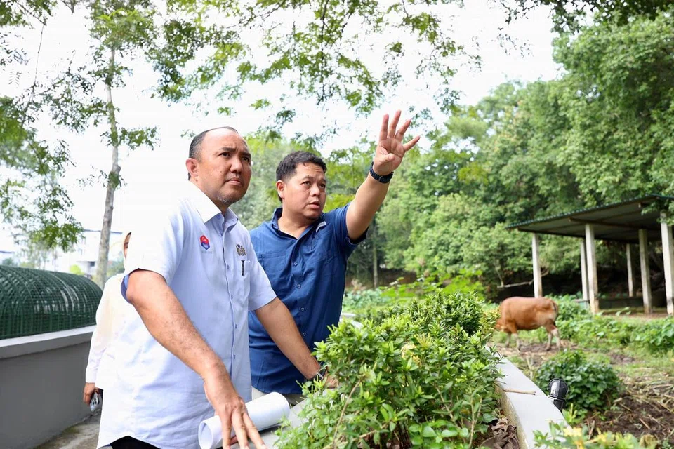 Pengerusi Jawatankuasa Perumahan dan Kerajaan Tempatan Johor, Datuk Mohd Jafni Md Shukor (kiri), mengunjungi Taman Haiwan Johor pada November 2024 bagi cadangan kerja-kerja naik taraf fasa kedua. Menteri Besar, Datuk Onn Hafiz Ghazi, telah meluluskan RM5 juta ($1.52 juta) untuk fasa kedua kerja-kerja menaik taraf taman haiwan itu, yang dijadualkan bermula pada suku pertama 2025.