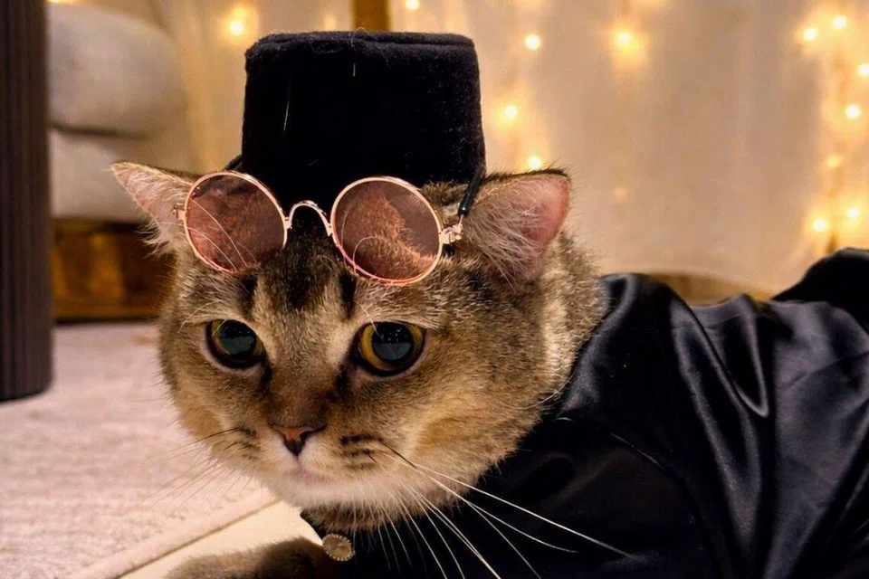 Silau mata Smokey, jadi pemiliknya sediakan kaca mata, sambil bergaya dengan set warna hitam untuk Raya. 