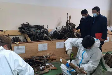 PEMERIKSAAN RAPI: Menerusi usaha bersepadu dengan agensi penguatkuasa di Asia Tengah, Asia Timur dan Asia Tenggara, pihak Interpol menjalankan pemeriksaan di lapangan terbang khusus, pelabuhan dan sempadan darat dalam operasi 'Trigger-Salvo' yang dijalankan selama dua minggu antara 25 Oktober hingga 5 November 2021. - Foto-foto INTERPOL