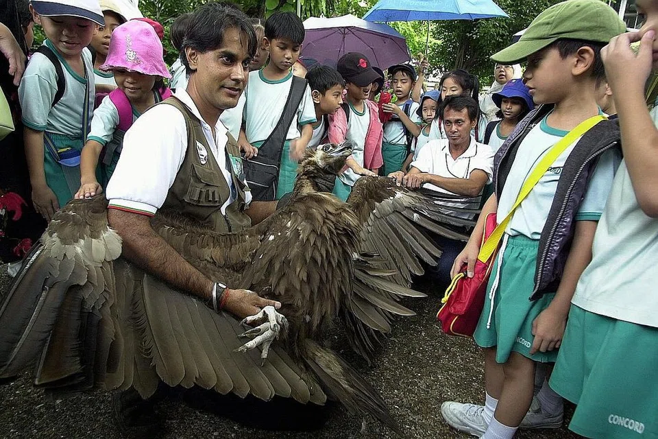 BURUNG NASAR TERBESAR: Seorang pegawai menunjukkan burung nasar yang terbesar di dunia kepada orang ramai pada 26 Mei 2004. Burung Nasar itu tiba daripada Kazakhstan dengan sayap sepanyang tiga meter, tinggi satu meter dan berat 10kg. 
