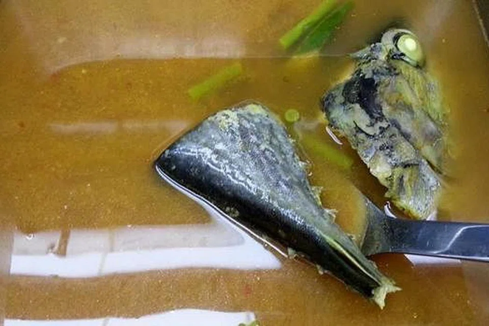 IKAN TONGKOL CELOK