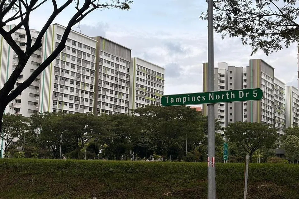 Tapak bagi Masjid di Tampines North itu dipilih dengan teliti berdasarkan kemudahcapaiannya serta keupayaannya untuk memenuhi keperluan masyarakat yang semakin berkembang di Tampines North dan kawasan sekitarnya.