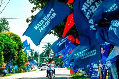 Parti Islam SeMalaysia (PAS) dikatakan mempunyai kekuatan jentera dan akar umbi untuk bergerak tanpa Parti Pribumi Bersatu Malaysia (Bersatu) pada pilihan raya akan datang, namun, dijangka tidak akan berjaya menubuhkan kerajaan tanpa sokongan parti lain.