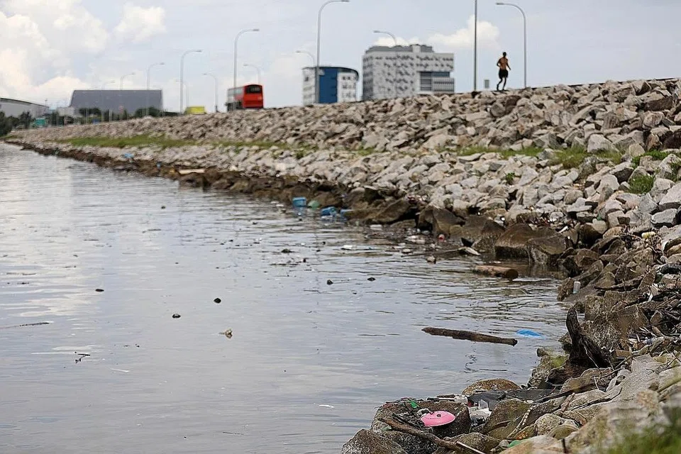 SAMPAH BERKURANGAN: Gambar yang diambil pada 23 April lalu menunjukkan kawasan pinggir air Empangan Yishun dengan bilangan sampah jauh berkurangan. - Foto BH oleh JOEL CHAN