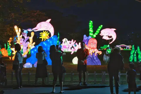 TERANGI KAWASAN: Dianjurkan oleh Lembaga Taman Negara (NParks), acara ‘Lights by the Lake’ di Taman Jurong Lake menampilkan sebanyak 240 tanglung berwarna-warni.