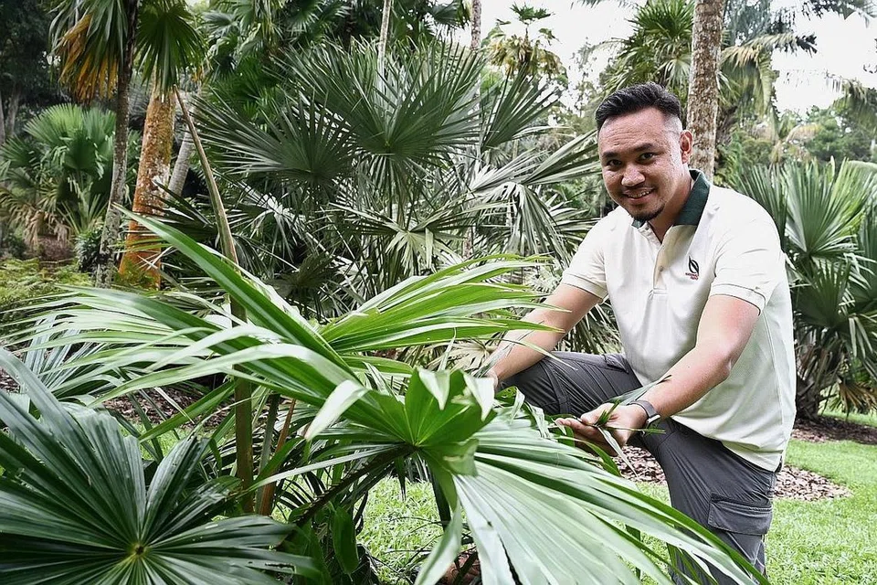 PAKAR POKOK PALMA: Encik Zaki merupakan Pegawai Kanan dari bahagian Hortikultur dan Perkebunan Masyarakat, Nparks dan bertugas di Tapak Semaian Pasir Panjang, untuk membiak dan menanam tumbuhan yang akan di tanam di pelbagai tempat atau untuk usaha pemuliharaan pokok palma. - Foto BH oleh MOHD KHALID BABA