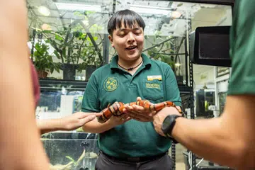 Sambutan Tahun Ular di Mandai Wildlife Reserve menawarkan sesi ‘Keeper Talk’, kuiz digital dan permainan ‘scavenger hunt’, menampilkan ular dan reptilia hingga 12 Februari.