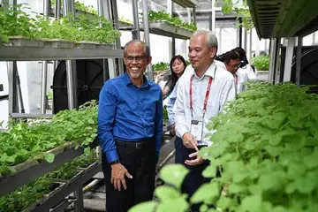 KEBUN VERTIKAL: Pengasas Sky Greens, Encik Jack Ng (kanan), membawa Encik Masagos Zulkifli melawat prasarana kebun vertikal Sky Greens. - Foto BH oleh CHONG JUN LIANG