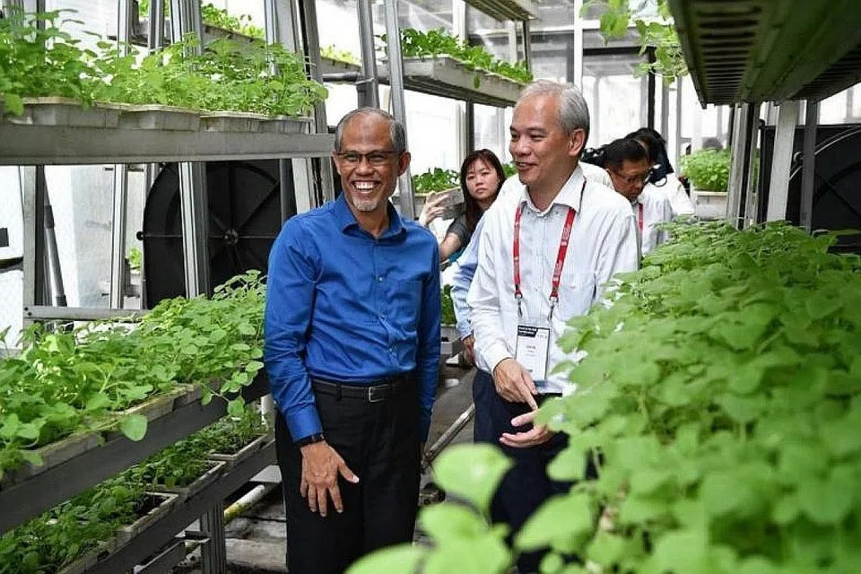 KEBUN VERTIKAL: Pengasas Sky Greens, Encik Jack Ng (kanan), membawa Encik Masagos Zulkifli melawat prasarana kebun vertikal Sky Greens. - Foto BH oleh CHONG JUN LIANG