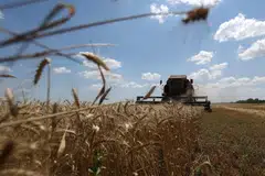 MAHU PERJANJIAN DILANJUTKAN: Penuaian gandum di ladang berhampiran perkampungan Novosofiivka di wilayah Mykolaiv, Ukraine. Jerman dan Ukraine menyeru agar dilanjutkan perjanjian bagi membolehkan bijirin dari Ukraine memasuki pasaran global.