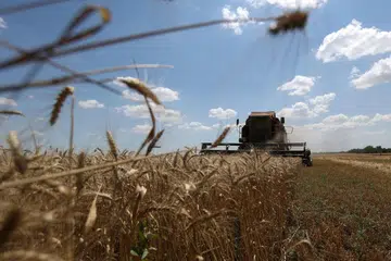 MAHU PERJANJIAN DILANJUTKAN: Penuaian gandum di ladang berhampiran perkampungan Novosofiivka di wilayah Mykolaiv, Ukraine. Jerman dan Ukraine menyeru agar dilanjutkan perjanjian bagi membolehkan bijirin dari Ukraine memasuki pasaran global.