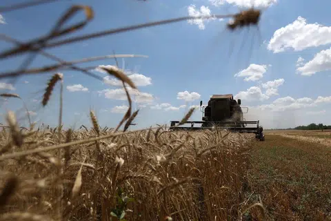 MAHU PERJANJIAN DILANJUTKAN: Penuaian gandum di ladang berhampiran perkampungan Novosofiivka di wilayah Mykolaiv, Ukraine. Jerman dan Ukraine menyeru agar dilanjutkan perjanjian bagi membolehkan bijirin dari Ukraine memasuki pasaran global.