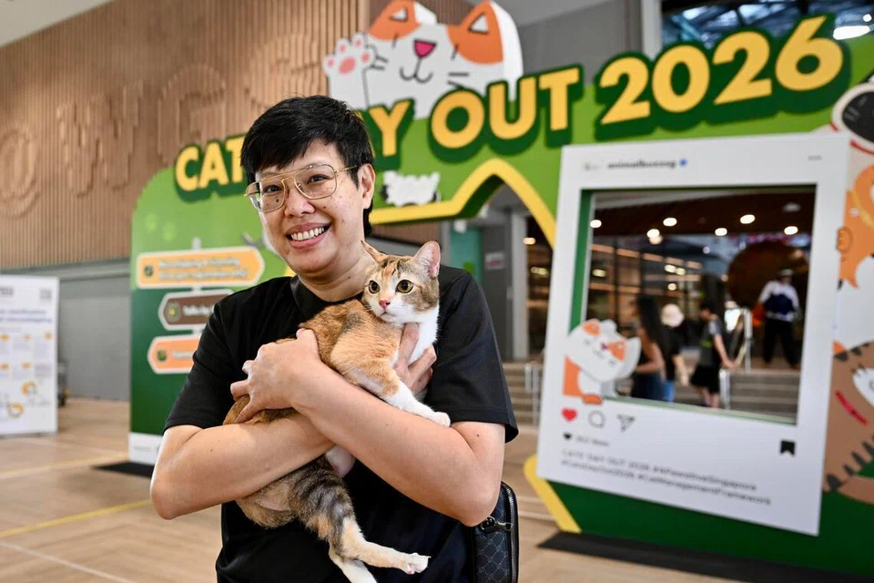 Cik Aisah Hashim, 48 tahun, membawa kucingnya ke acara Cats’ Day Out yang dianjurkan di Wisma Geylang Serai pada 18 Julai. Beliau mempunyai enam ekor kucing peliharaan dan dua ekor kucing titipan.
