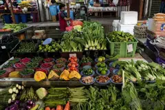 Persatuan Pekebun Melayu Cameron Highlands, harga sayur meningkat