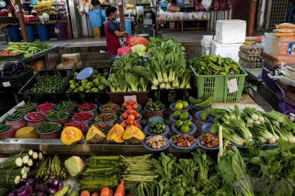 Persatuan Pekebun Melayu Cameron Highlands, harga sayur meningkat