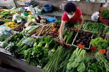 Malaysia, kemarau, sayur, tanaman, petani