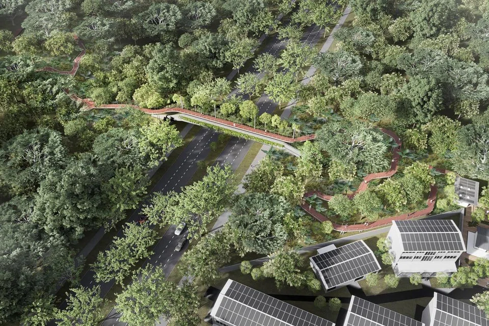 JAMBATAN EKO: Lakaran artis bagi jambatan eko-pejalan kaki masa hadapan yang akan dibina merentasi Upper Bukit Timah Road menjelang 2026, menghubungkan Taman Semula Jadi Bukit Batok dengan Hutan Simpanan Bukit Timah.