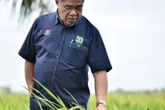 LUASKAN TANAMAN PADI: Menteri Pertanian dan Keterjaminan Makanan Malaysia, Datuk Seri Mohamad Sabu, menyasarkan peluasan kawasan penanaman padi termasuk di Sabah dan Sarawak, untuk menampung keperluan beras tempatan.