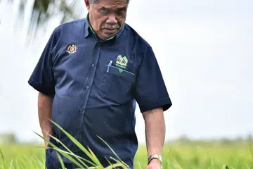 LUASKAN TANAMAN PADI: Menteri Pertanian dan Keterjaminan Makanan Malaysia, Datuk Seri Mohamad Sabu, menyasarkan peluasan kawasan penanaman padi termasuk di Sabah dan Sarawak, untuk menampung keperluan beras tempatan.